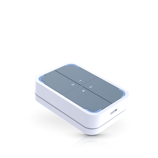 RAK WisNode Button 4K - Mapping Network
