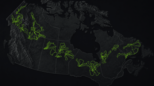 LiDAR Mapping in Canada 2026: Applications, Benefits & Best Uses for Canadian Industries - Mapping Network