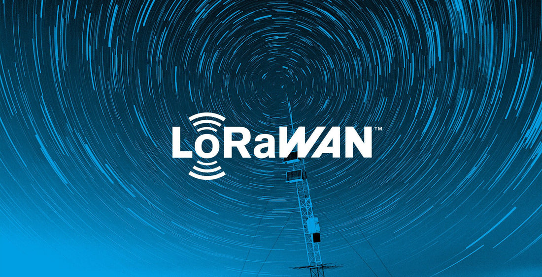 Navigating the World of LoRaWAN US915 - Mapping Network